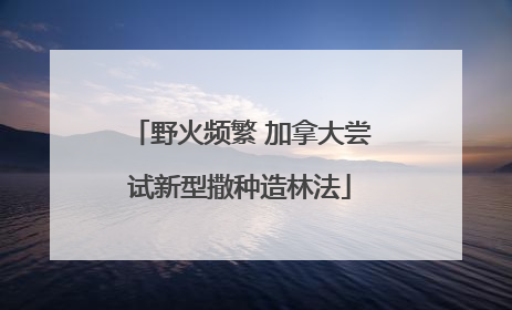 野火频繁 加拿大尝试新型撒种造林法