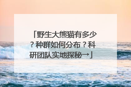 野生大熊猫有多少？种群如何分布？科研团队实地探秘→