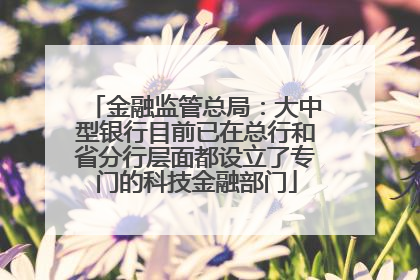 金融监管总局：大中型银行目前已在总行和省分行层面都设立了专门的科技金融部门