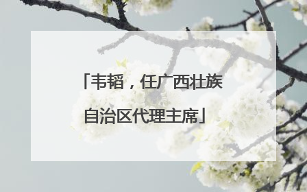 韦韬，任广西壮族自治区代理主席