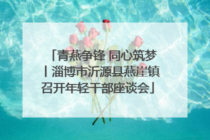青燕争锋 同心筑梦丨淄博市沂源县燕崖镇召开年轻干部座谈会