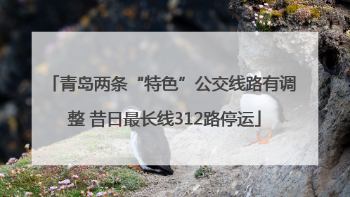 青岛两条“特色”公交线路有调整 昔日最长线312路停运