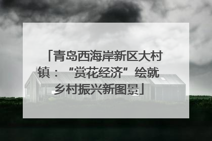 青岛西海岸新区大村镇：“赏花经济”绘就乡村振兴新图景