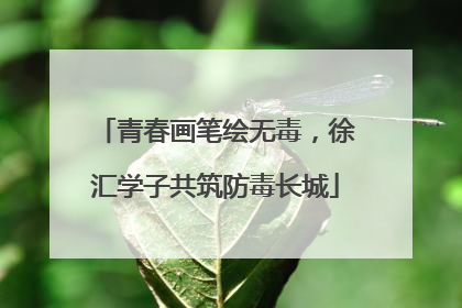 青春画笔绘无毒，徐汇学子共筑防毒长城