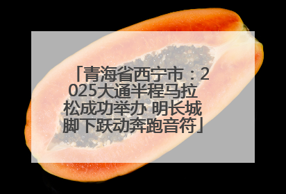 青海省西宁市：2025大通半程马拉松成功举办 明长城脚下跃动奔跑音符