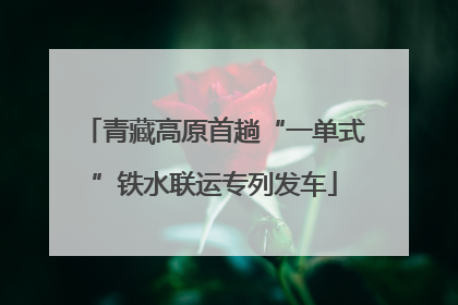 青藏高原首趟“一单式”铁水联运专列发车