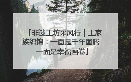 非遗工坊采风行｜土家族织锦：一面是千年图腾 一面是幸福画卷