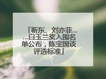 靳东、刘亦菲……白玉兰奖入围名单公布，陈宝国谈评选标准