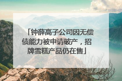 钟薛高子公司因无偿债能力被申请破产，招牌雪糕产品仍在售