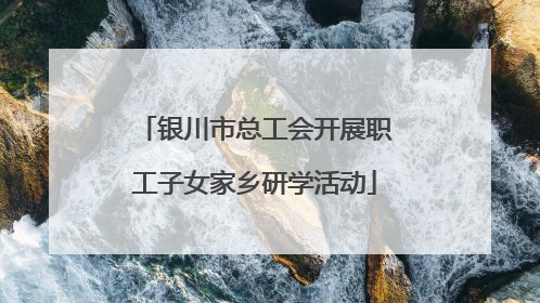银川市总工会开展职工子女家乡研学活动