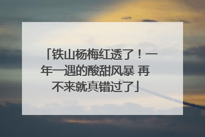 铁山杨梅红透了！一年一遇的酸甜风暴 再不来就真错过了