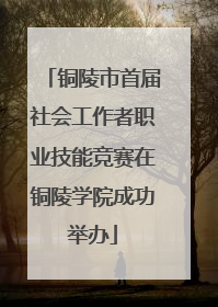 铜陵市首届社会工作者职业技能竞赛在铜陵学院成功举办