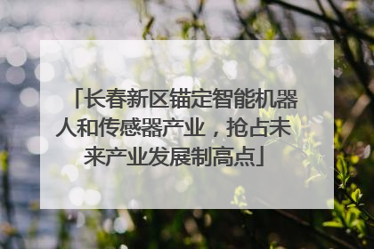 长春新区锚定智能机器人和传感器产业，抢占未来产业发展制高点