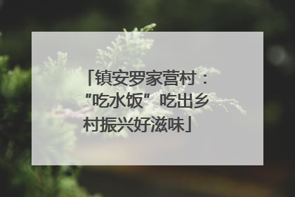 镇安罗家营村：“吃水饭”吃出乡村振兴好滋味