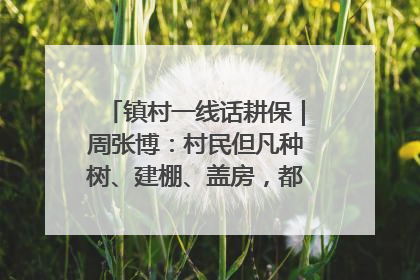 镇村一线话耕保｜周张博：村民但凡种树、建棚、盖房，都要向街道报批