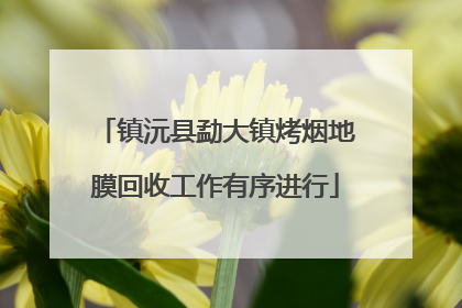镇沅县勐大镇烤烟地膜回收工作有序进行