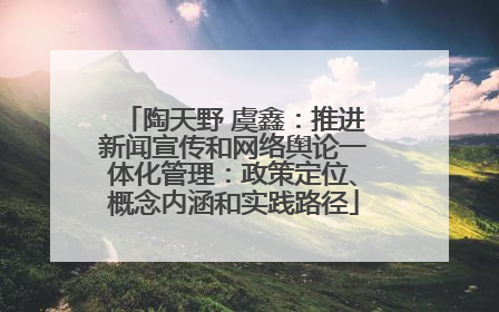 陶天野 虞鑫：推进新闻宣传和网络舆论一体化管理：政策定位、概念内涵和实践路径