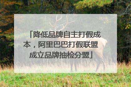 降低品牌自主打假成本，阿里巴巴打假联盟成立品牌抽检分盟