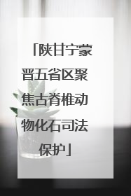 陕甘宁蒙晋五省区聚焦古脊椎动物化石司法保护