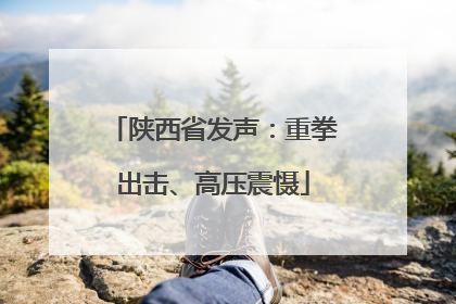 陕西省发声：重拳出击、高压震慑