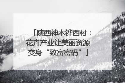 陕西神木铧西村：花卉产业让美丽资源变身“致富密码”