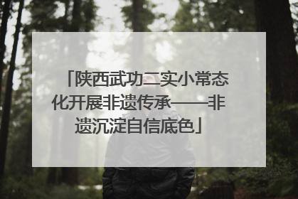 陕西武功二实小常态化开展非遗传承——非遗沉淀自信底色