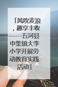 风吹麦浪，趣享丰收——五河县申集镇大李小学开展劳动教育实践活动
