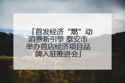 首发经济“燃”动消费新引擎 泰安市举办首店经济项目品牌入驻推进会