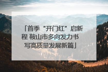 首季“开门红”启新程 鞍山市多向发力书写高质量发展新篇