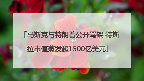 马斯克与特朗普公开骂架 特斯拉市值蒸发超1500亿美元