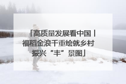 高质量发展看中国丨福稻金浪千重绘就乡村振兴“丰”景图