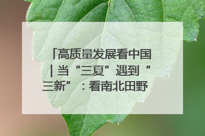 高质量发展看中国｜当“三夏”遇到“三新”：看南北田野里的科技共生记