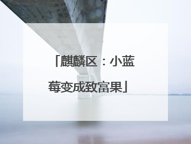 麒麟区：小蓝莓变成致富果