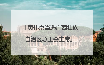 黄伟京当选广西壮族自治区总工会主席