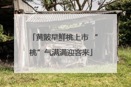黄陂早鲜桃上市 “桃”气满满迎客来