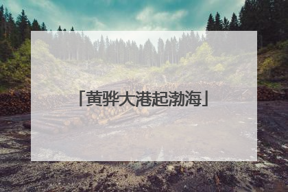 黄骅大港起渤海