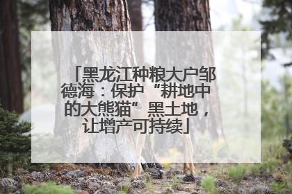 黑龙江种粮大户邹德海：保护“耕地中的大熊猫”黑土地，让增产可持续