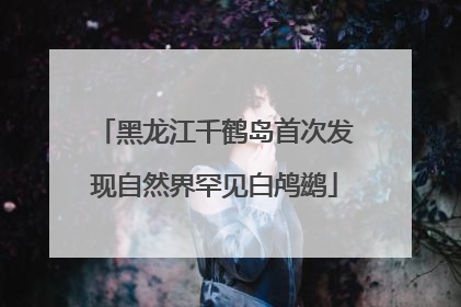 黑龙江千鹤岛首次发现自然界罕见白鸬鹚