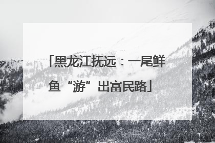 黑龙江抚远：一尾鲜鱼“游”出富民路
