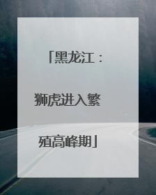 黑龙江：狮虎进入繁殖高峰期