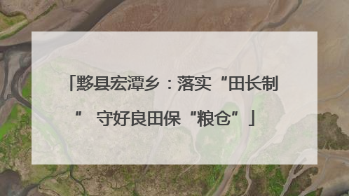 黟县宏潭乡：落实“田长制” 守好良田保“粮仓”