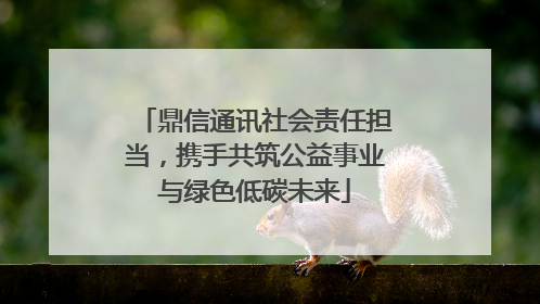 鼎信通讯社会责任担当，携手共筑公益事业与绿色低碳未来