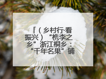 （乡村行·看振兴）“槜李之乡”浙江桐乡：“千年名果”铺就乡村共富路
