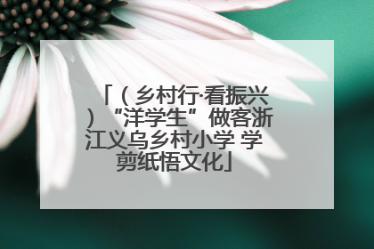 （乡村行·看振兴）“洋学生”做客浙江义乌乡村小学 学剪纸悟文化