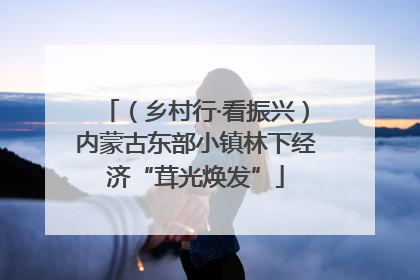 （乡村行·看振兴）内蒙古东部小镇林下经济“茸光焕发”