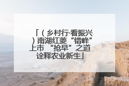 （乡村行·看振兴）南湖红菱“错峰”上市 “抢早”之道诠释农业新生