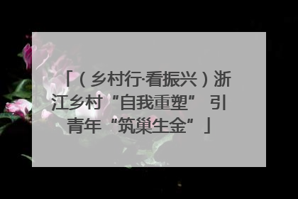 （乡村行·看振兴）浙江乡村“自我重塑” 引青年“筑巢生金”