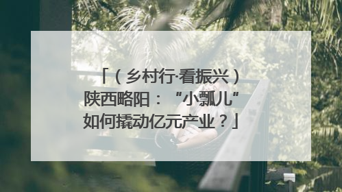 （乡村行·看振兴）陕西略阳：“小瓢儿”如何撬动亿元产业？