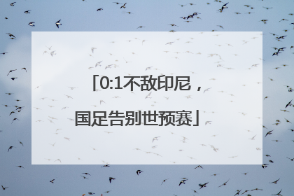 0:1不敌印尼，国足告别世预赛