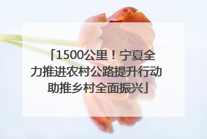 1500公里！宁夏全力推进农村公路提升行动 助推乡村全面振兴